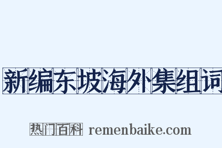 新编东坡海外集组词是什么意思的图片